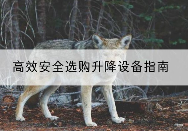 茄子河升降货梯厂家推荐-*安全选购升降设备指南