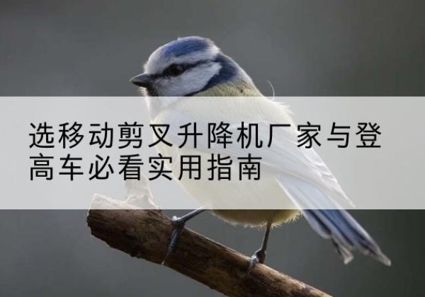 茄子河电动升降机厂家-选移动剪叉升降机厂家与登高车必看实用指南